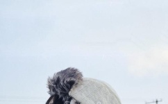 我被夫的上司水野朝阳在线观看